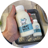 Goat Milk